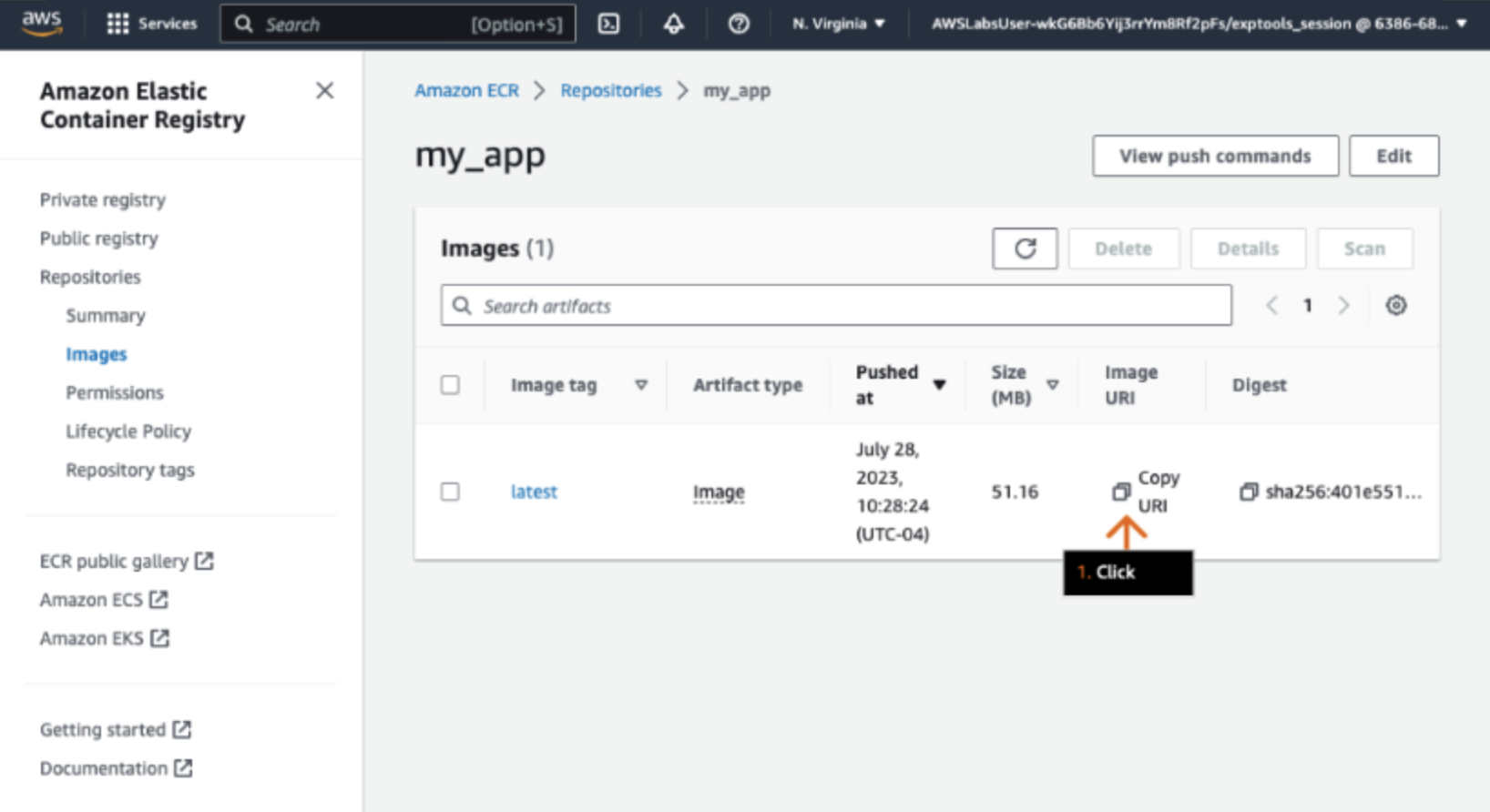 AWS ECR dashboard AWS ECR dashboard